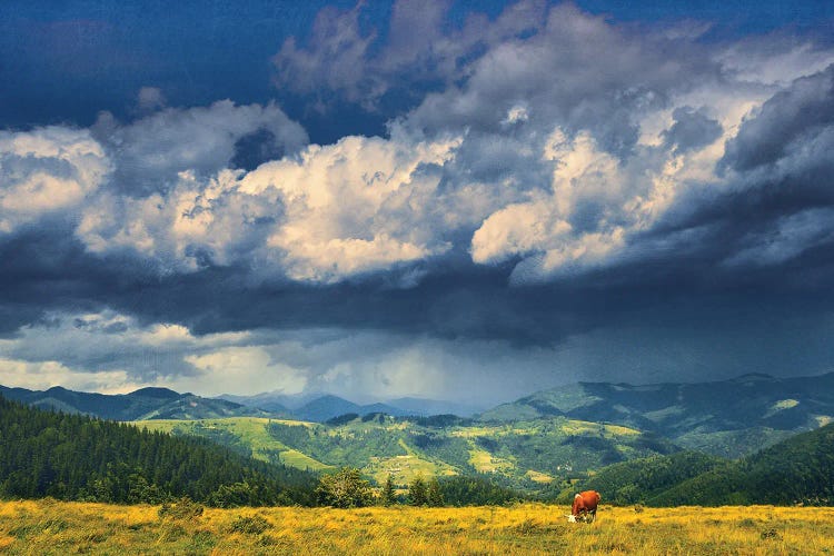 Summer On A Mountain Pasture by ValeriX wall art