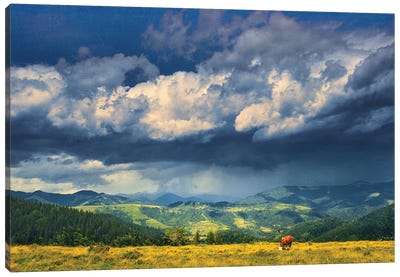 Summer On A Mountain Pasture Canvas Art Print
