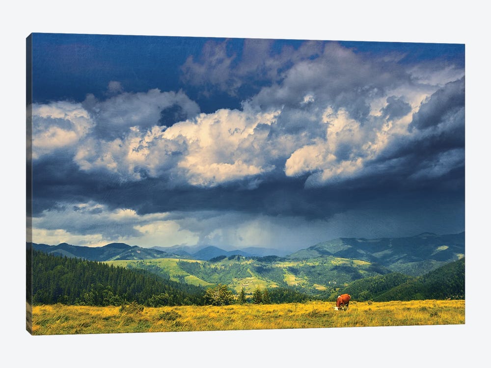 Summer On A Mountain Pasture by ValeriX 1-piece Canvas Artwork