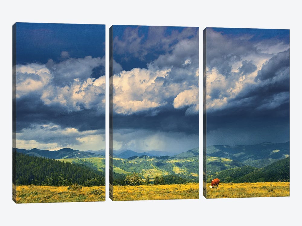 Summer On A Mountain Pasture by ValeriX 3-piece Canvas Wall Art