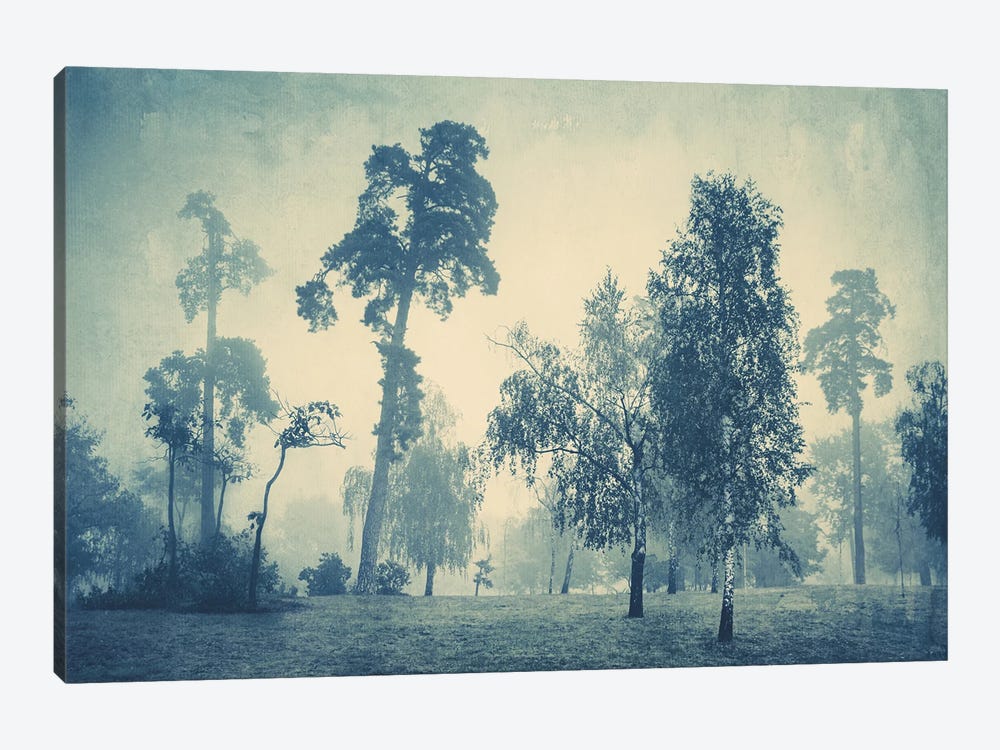 Foggy Premonitions by ValeriX 1-piece Art Print