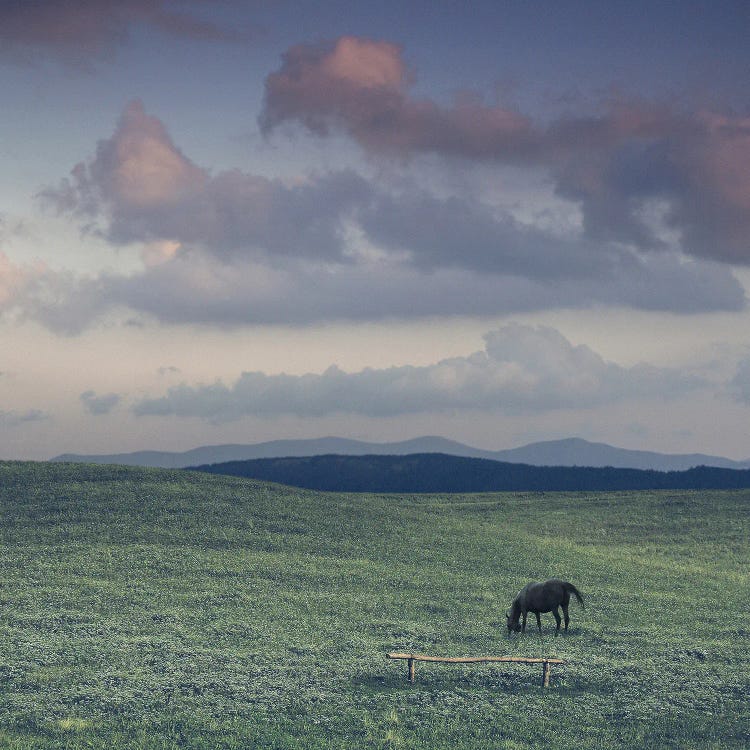 On The High Meadow