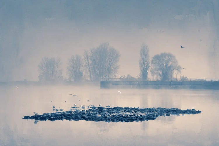 Island Of Seagulls In A Foggy Morning