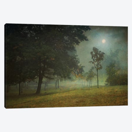 In The Bright Moonlight Canvas Print #VLR17} by ValeriX Canvas Art Print
