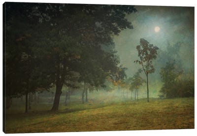 In The Bright Moonlight Canvas Art Print - ValeriX