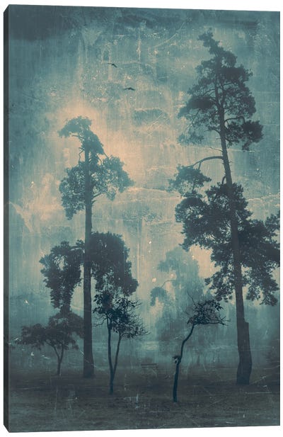 Above The Trees Canvas Art Print - ValeriX