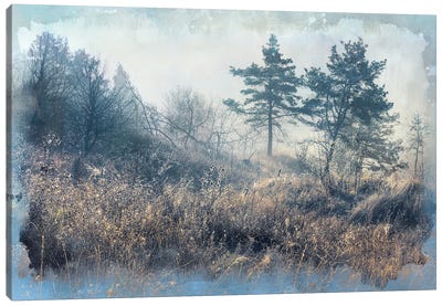 Between Summer And Winter Canvas Art Print - ValeriX