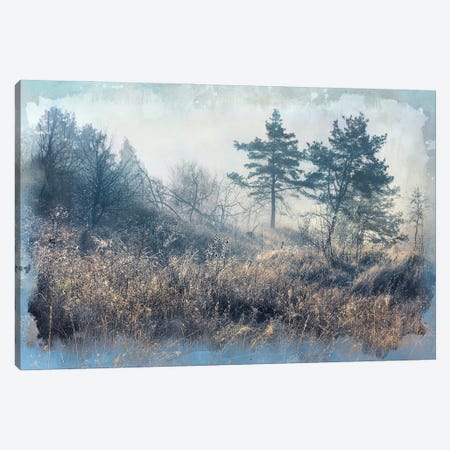 Between Summer And Winter Canvas Print #VLR19} by ValeriX Canvas Wall Art