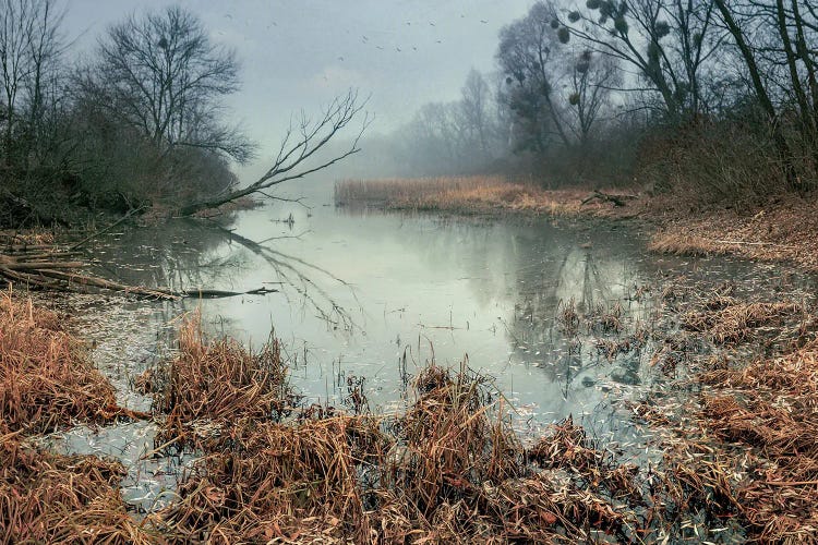 Still Waters Of Autumn