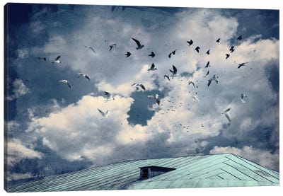 Flight Over The Roof Canvas Art Print - Kyiv Art