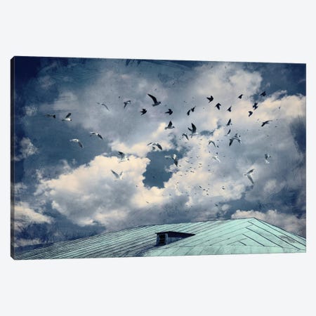 Flight Over The Roof Canvas Print #VLR27} by ValeriX Canvas Artwork