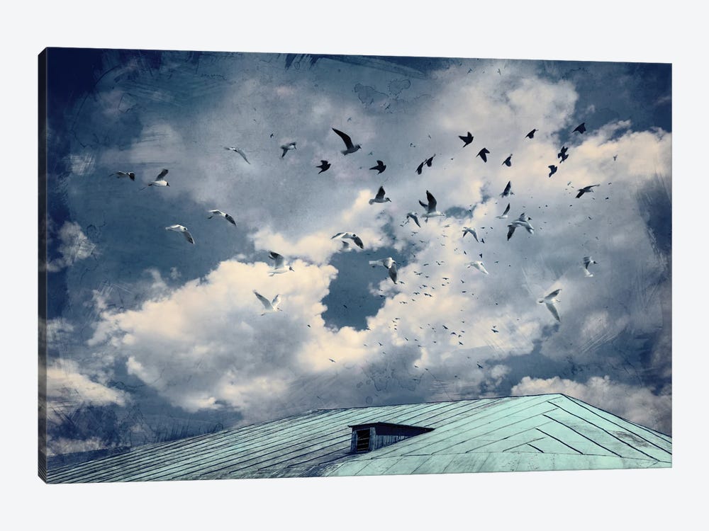 Flight Over The Roof by ValeriX 1-piece Canvas Print