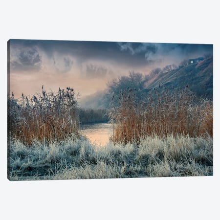 Frosty Days Have Come Canvas Print #VLR30} by ValeriX Canvas Wall Art