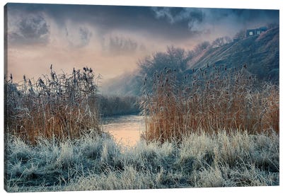 Frosty Days Have Come Canvas Art Print - ValeriX