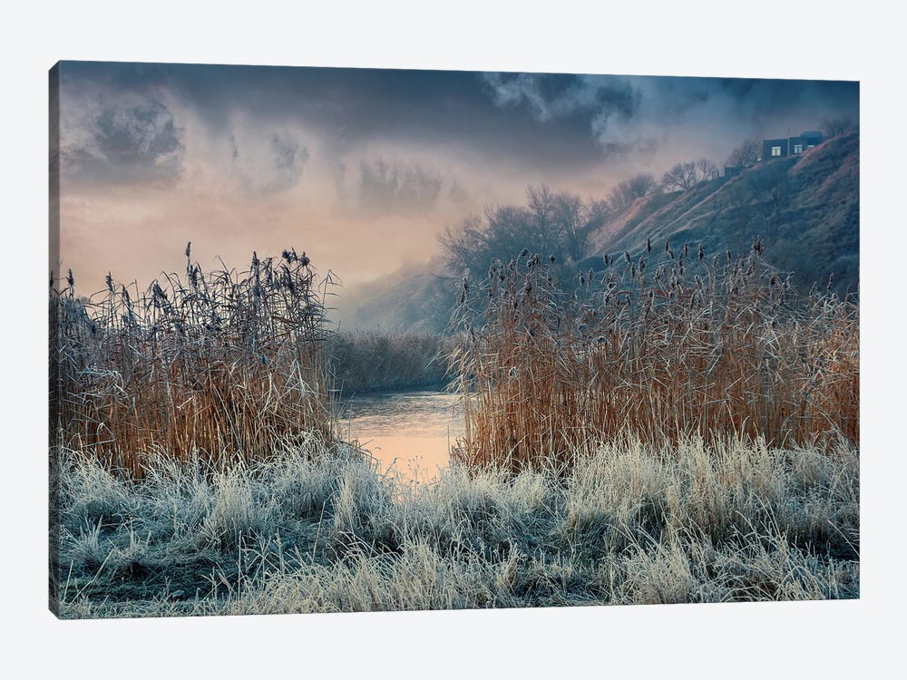 Frosty Days Have Come by ValeriX 1-piece Art Print