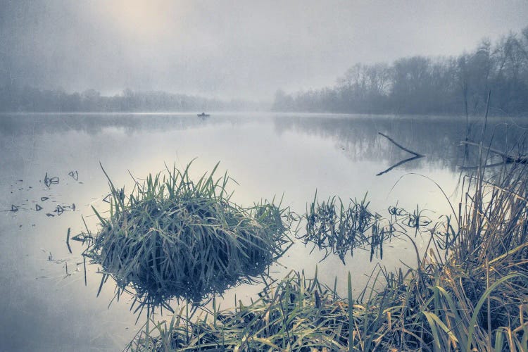 Fog On The Lake