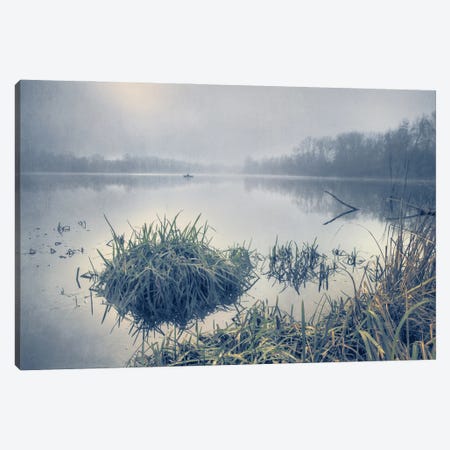 Fog On The Lake Canvas Print #VLR32} by ValeriX Canvas Art