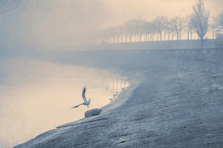 Flying In The Fog