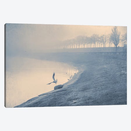 Flying In The Fog Canvas Print #VLR33} by ValeriX Canvas Artwork
