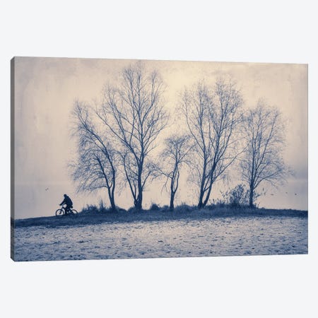 Morning Ride In The Fog Canvas Print #VLR35} by ValeriX Art Print