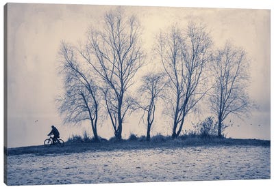 Morning Ride In The Fog Canvas Art Print - ValeriX