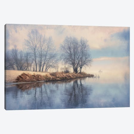 On A Foggy Morning Canvas Print #VLR39} by ValeriX Canvas Wall Art