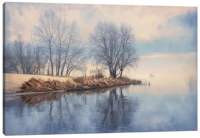 On A Foggy Morning Canvas Art Print - ValeriX