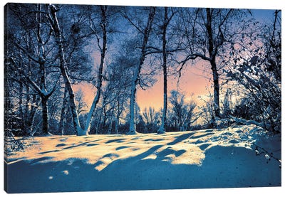 Shadows Of A Winter Evening Canvas Art Print - ValeriX
