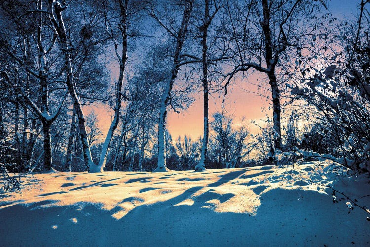 Shadows Of A Winter Evening