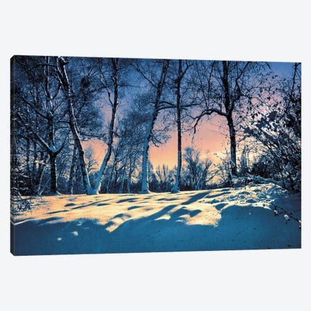 Shadows Of A Winter Evening Canvas Print #VLR41} by ValeriX Canvas Print