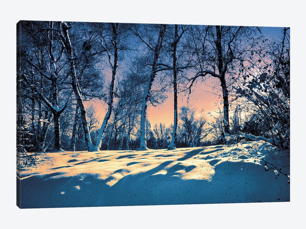 Shadows Of A Winter Evening by ValeriX 1-piece Art Print