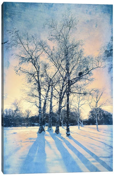 Frosty Morning Canvas Art Print - ValeriX