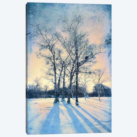 Frosty Morning Canvas Print #VLR42} by ValeriX Canvas Print
