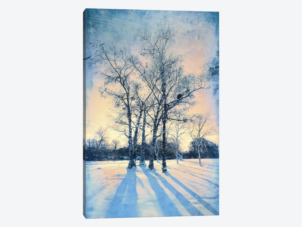 Frosty Morning by ValeriX 1-piece Canvas Artwork