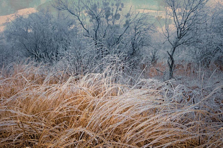 "Pictures From The Crystal Forest" Scene 3