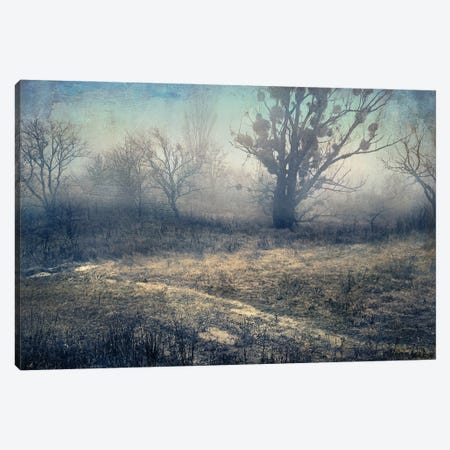 Along Uncharted Paths Canvas Print #VLR4} by ValeriX Canvas Wall Art