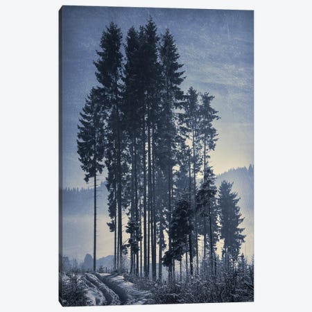 Pine-Trees Canvas Print #VLR50} by ValeriX Canvas Art