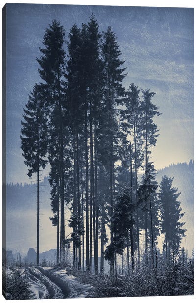 Pine-Trees Canvas Art Print - ValeriX