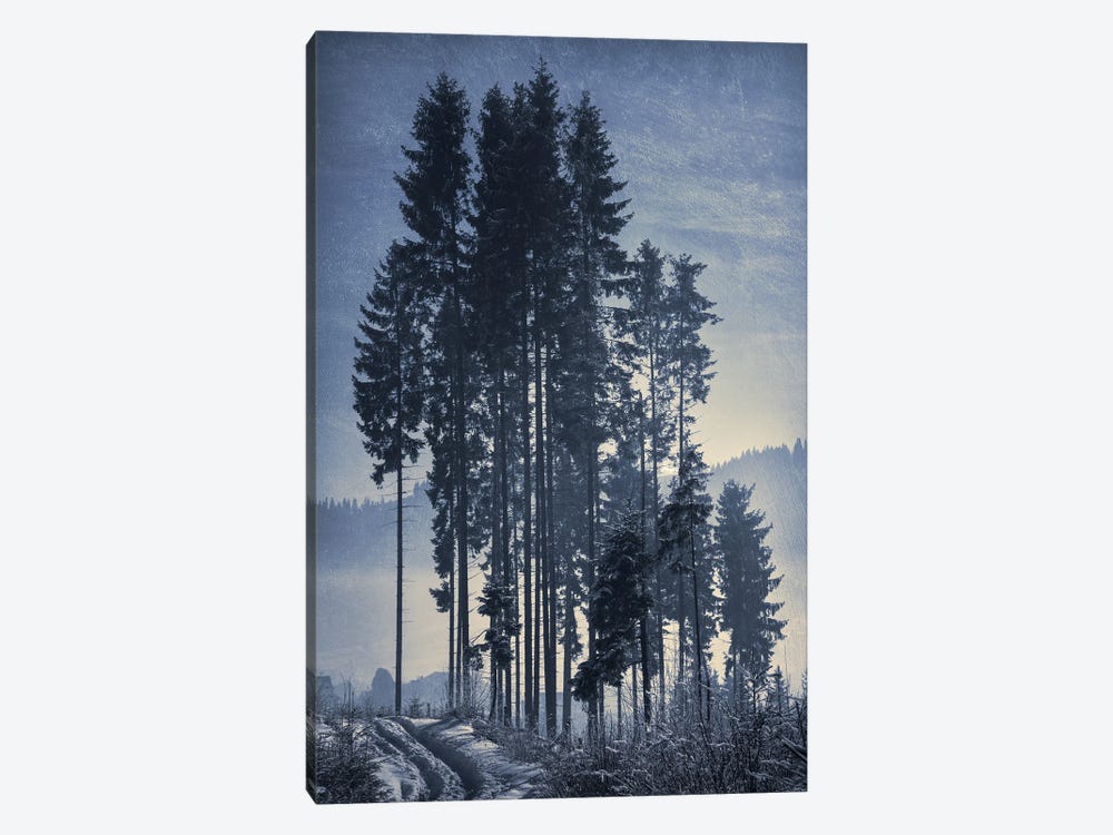 Pine-Trees by ValeriX 1-piece Canvas Art Print