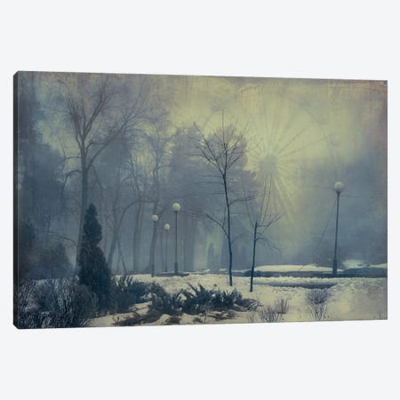 Winter In The Summer Park Canvas Print #VLR51} by ValeriX Canvas Wall Art