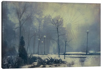 Winter In The Summer Park Canvas Art Print - Ukraine Art