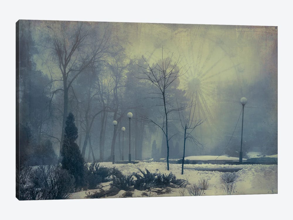 Winter In The Summer Park by ValeriX 1-piece Canvas Art