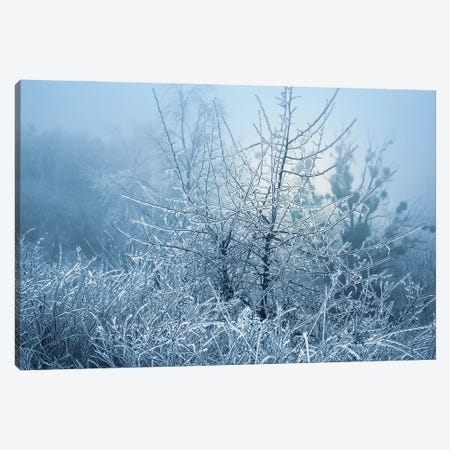 Ice Fairy Tale Canvas Print #VLR52} by ValeriX Canvas Art