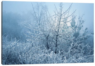 Ice Fairy Tale Canvas Art Print - Monochromatic Photography