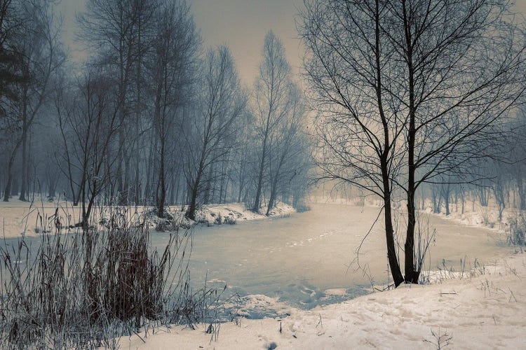 Near The Frozen Lake