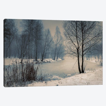 Near The Frozen Lake Canvas Print #VLR53} by ValeriX Canvas Art