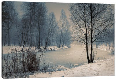 Near The Frozen Lake Canvas Art Print - ValeriX