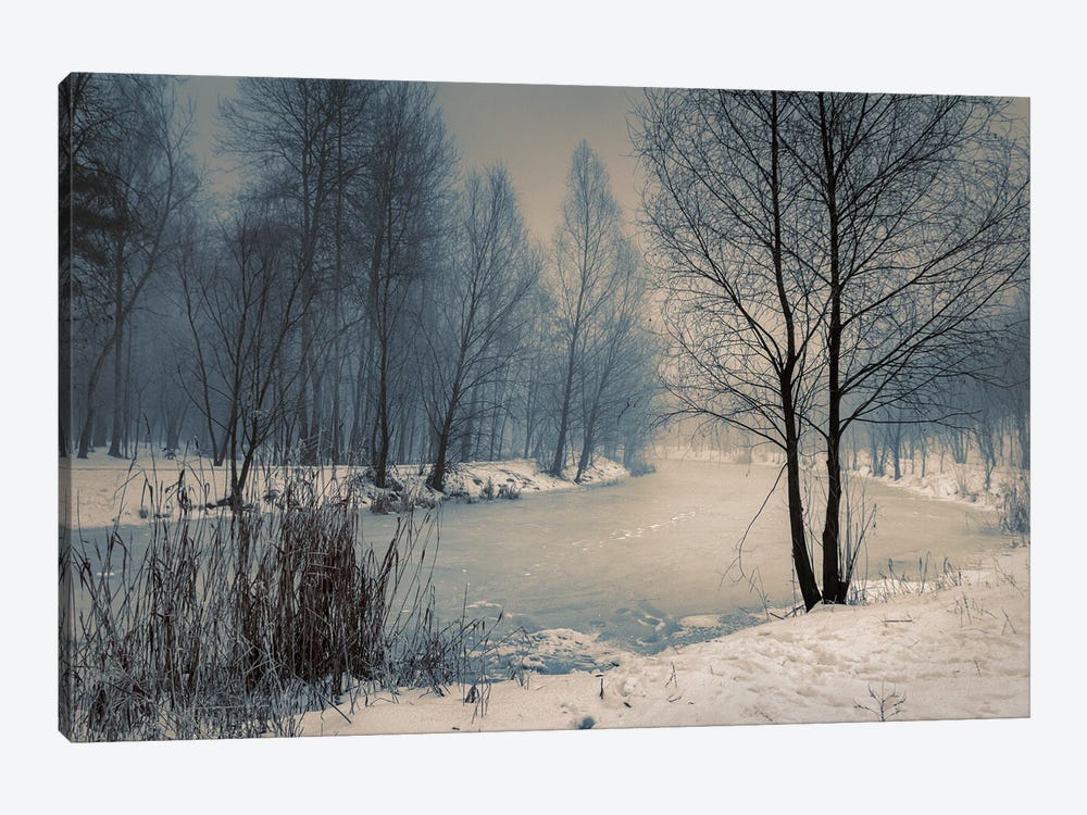 Near The Frozen Lake by ValeriX 1-piece Canvas Wall Art
