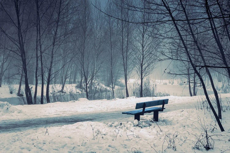 Blue Bench