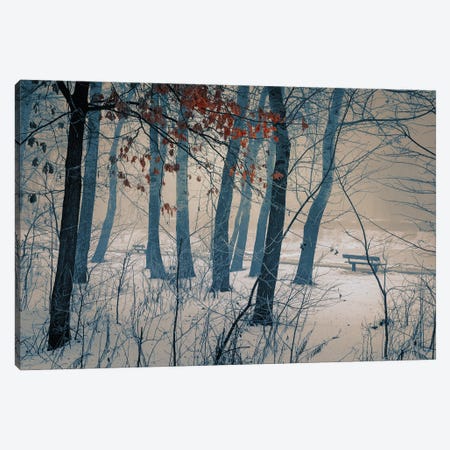 Frosty Morning In The City Park Canvas Print #VLR55} by ValeriX Art Print